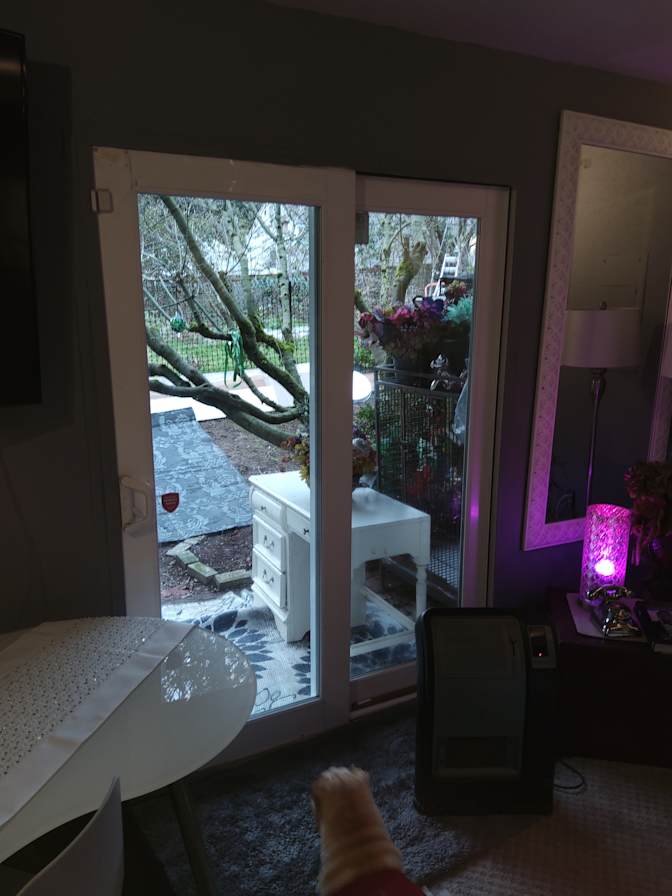 Alessandrea's room