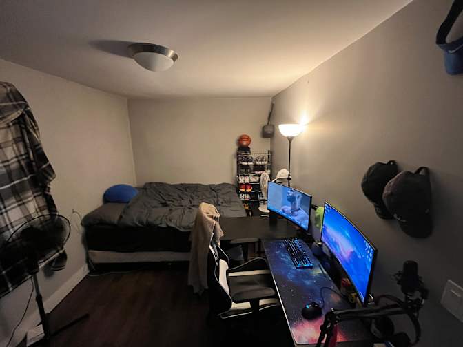 Mogul's room