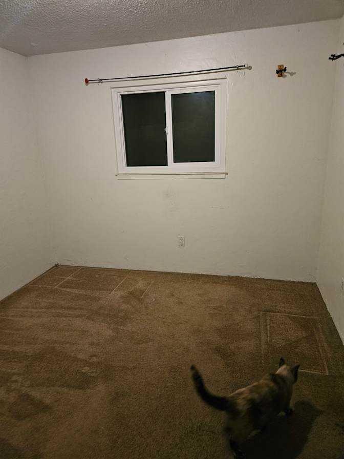 Nicola Scarpello's room