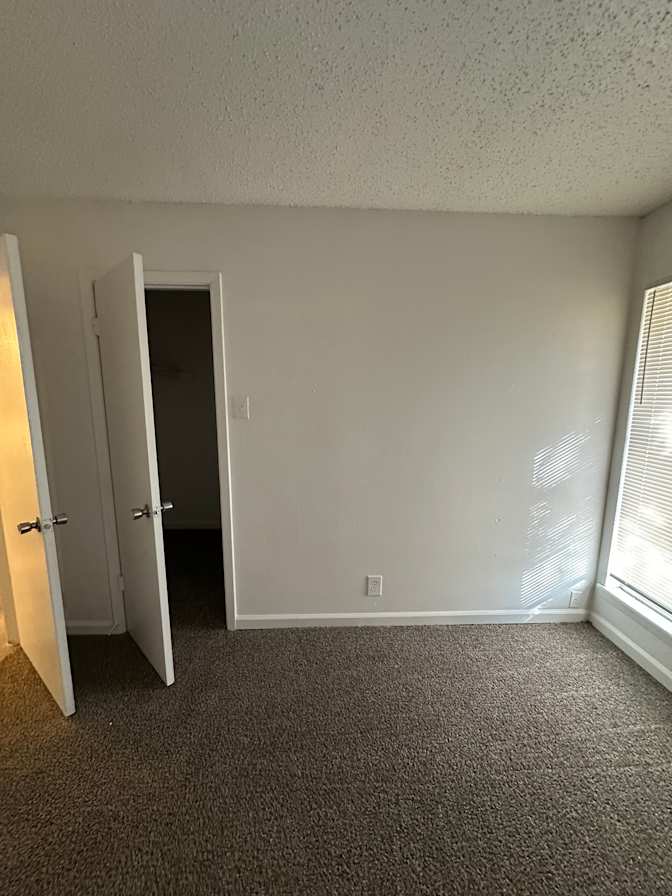 Saralee's room