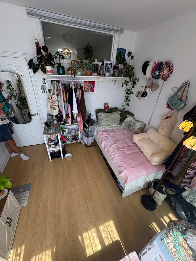 rashin's room