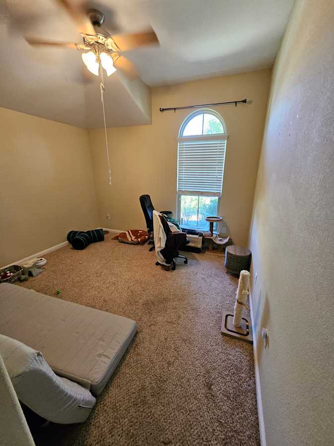 Chris's room