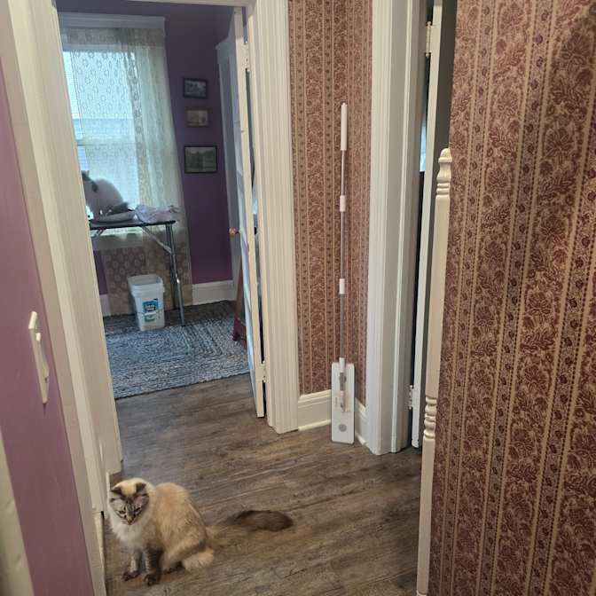 robert a gustafson's room