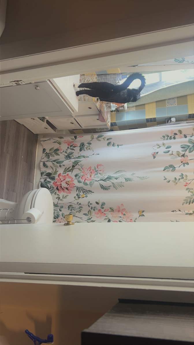 Eliyah's room
