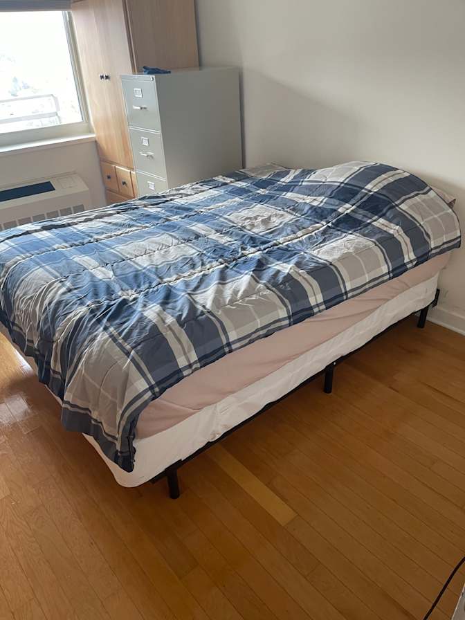 Professional's room
