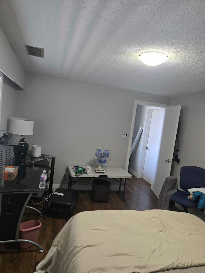 Elana's room