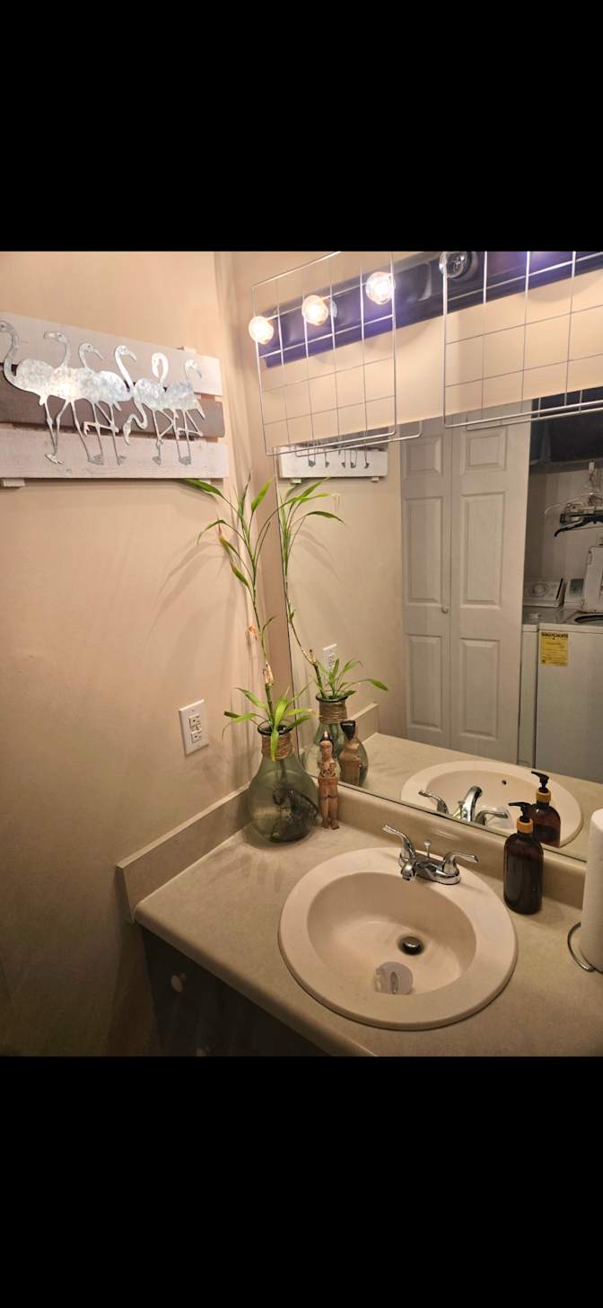 Shane sanders's room