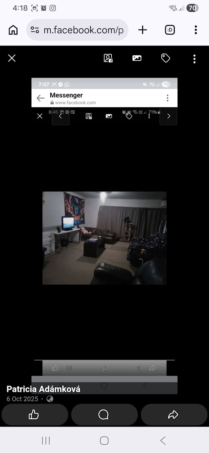 patricia adamkova's room