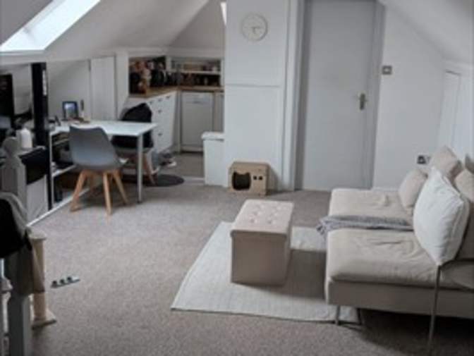Ryan Binun's room