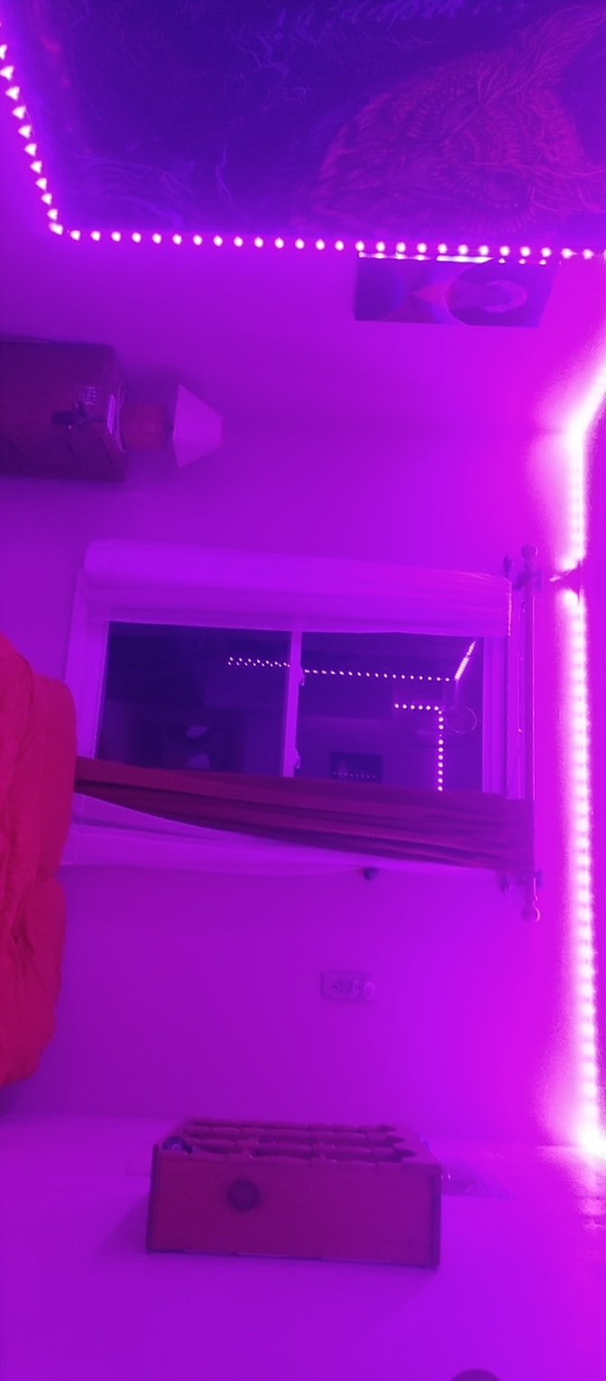 Kevin's room