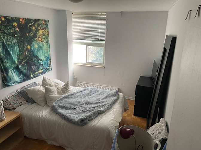 Lin's room