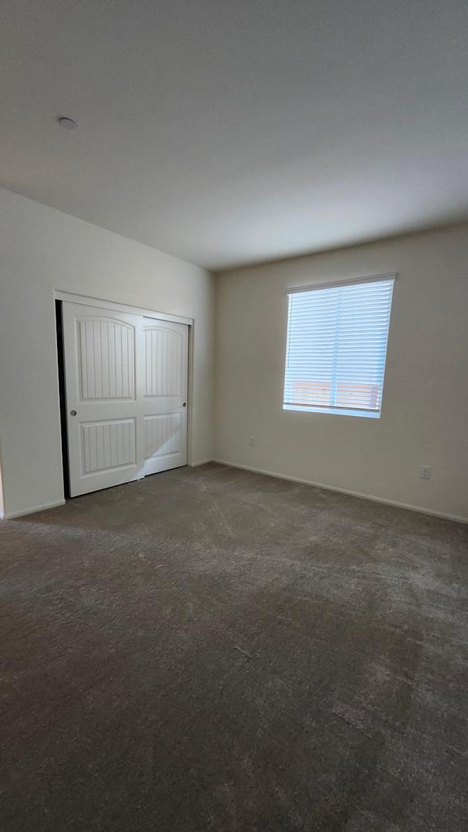 STELLA's room