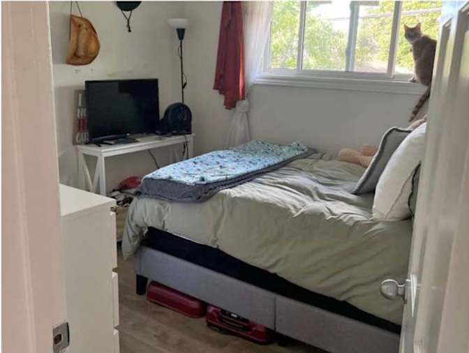 Shreyaa Uparna's room