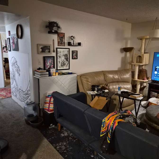 Rae's room