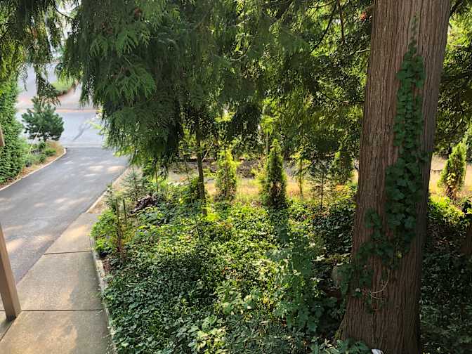 jacques menarguez's room