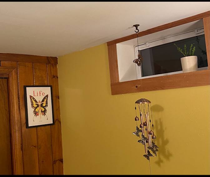 Danyle's room