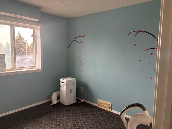 Kaitlyn's room
