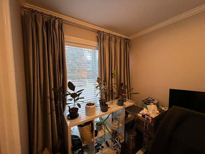 Alex's room