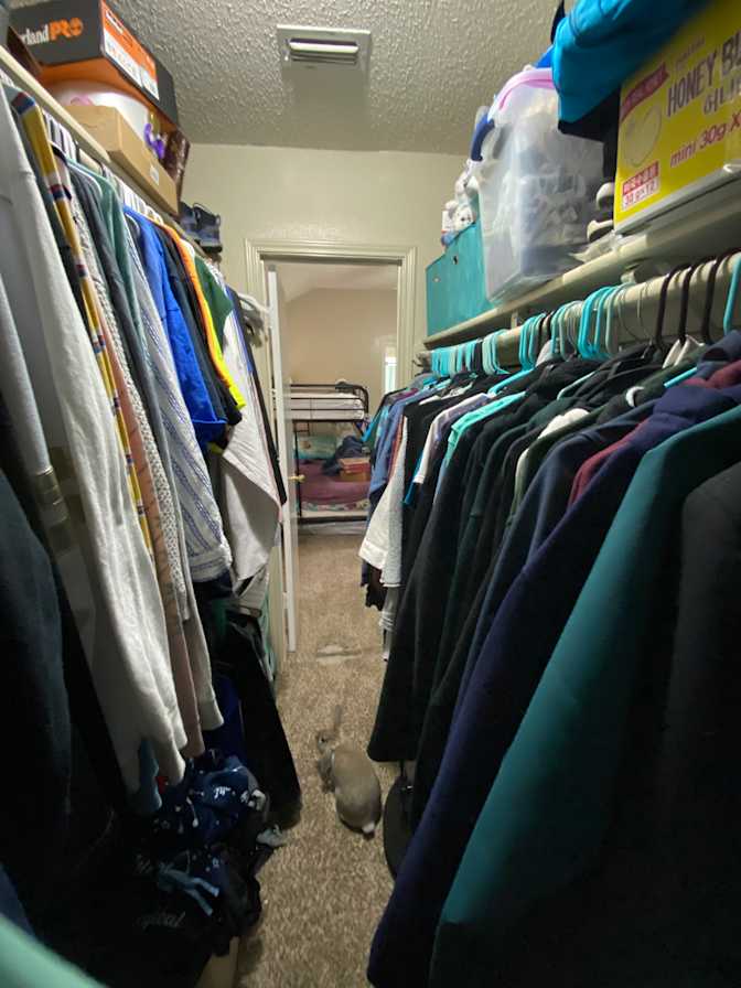Rachel's room