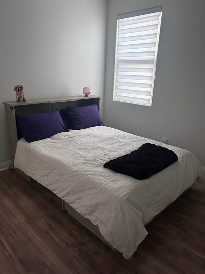 anita elias's room