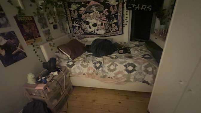 shantia solomon's room