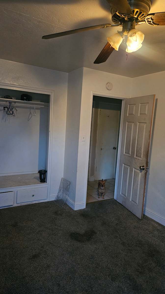 Zelly's room