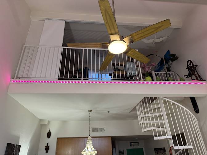 Stephanie's room