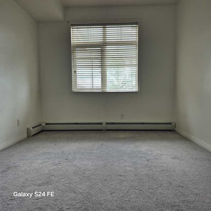 Elvis's room