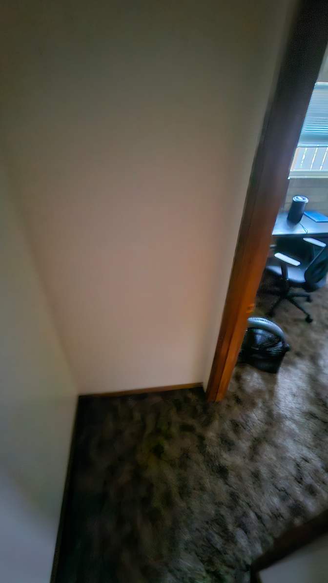 Vladimir's room