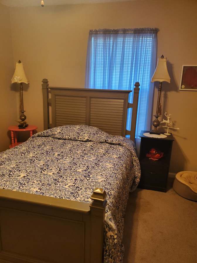 Laura Nowlin's room
