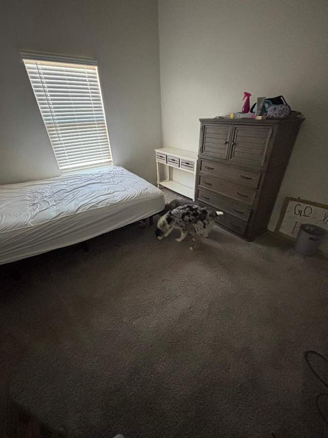 Deborah's room
