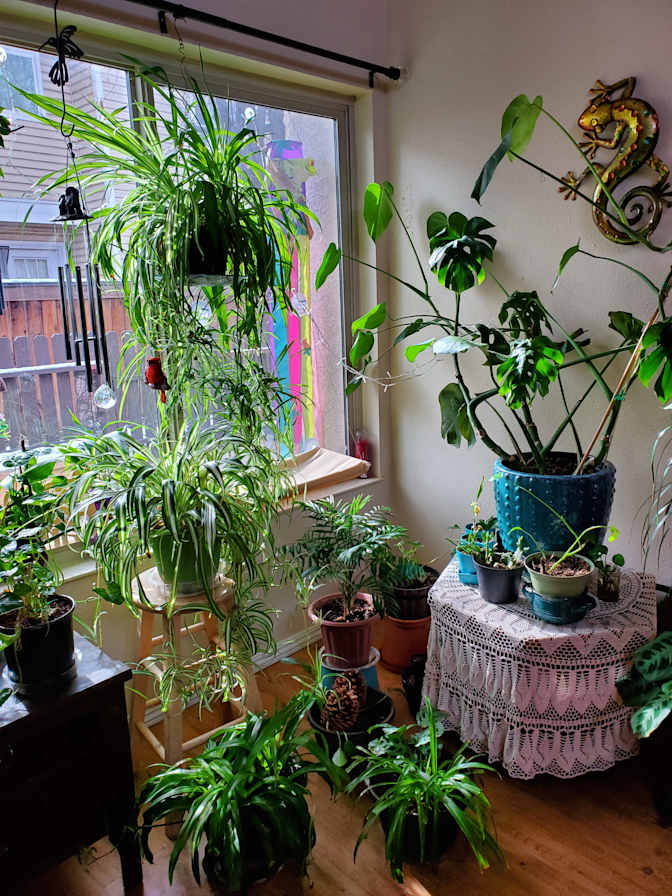 Cindi's room