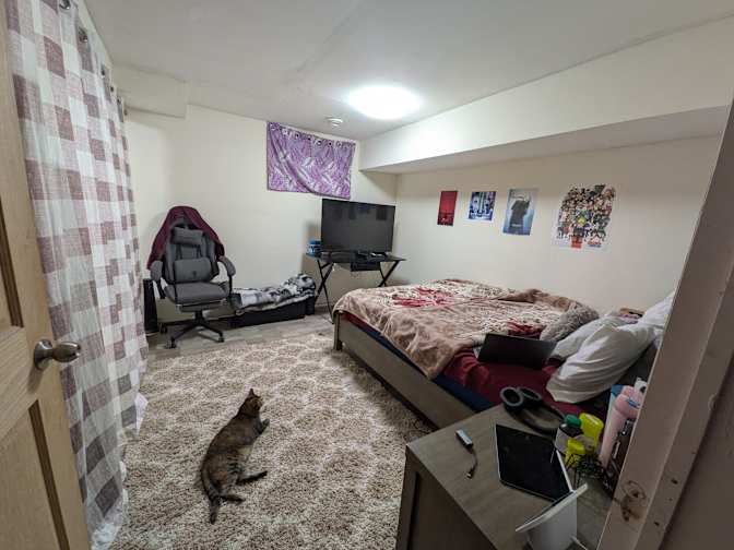 Chaitri's room
