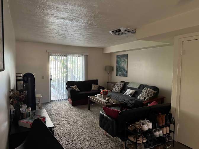 Conal Colamarino's room
