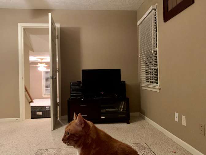 Rusty's room