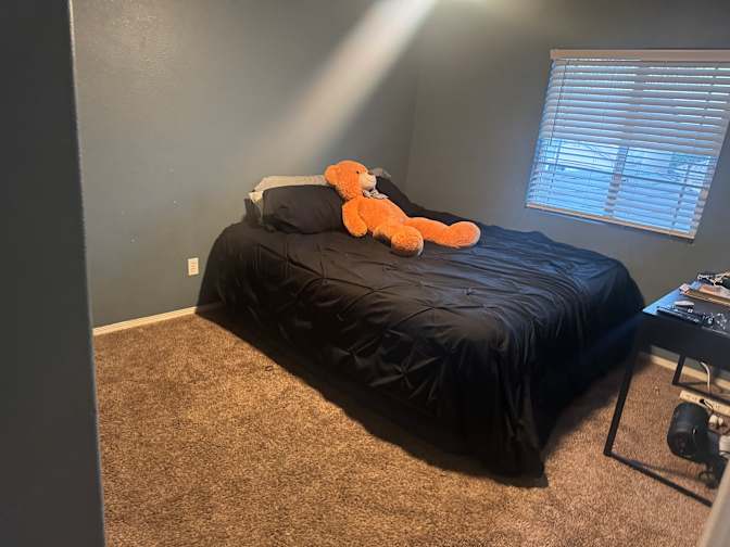 Mary's room