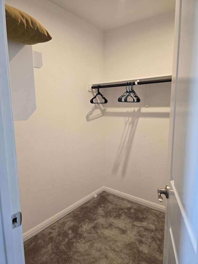 Rish!'s room