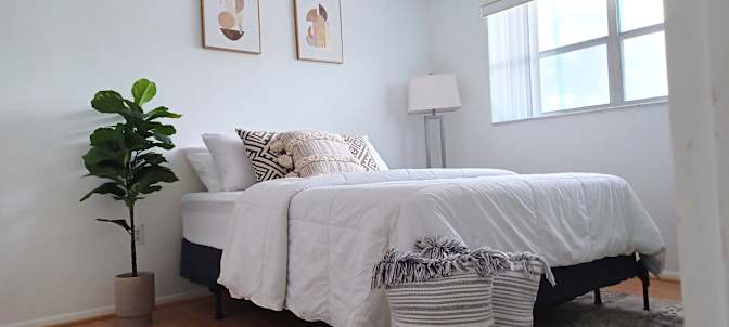Diana C Ocampo's room