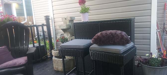 Reynolds Street - Photo 3