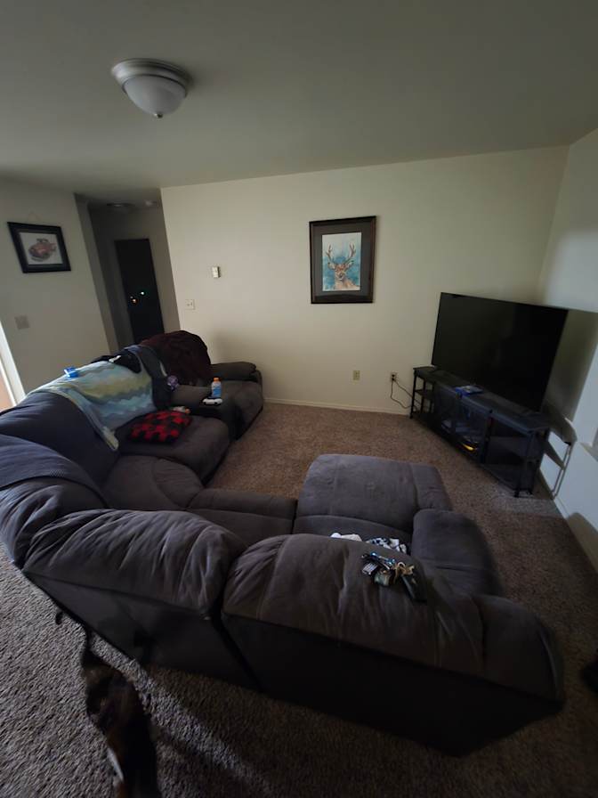 Cameron's room