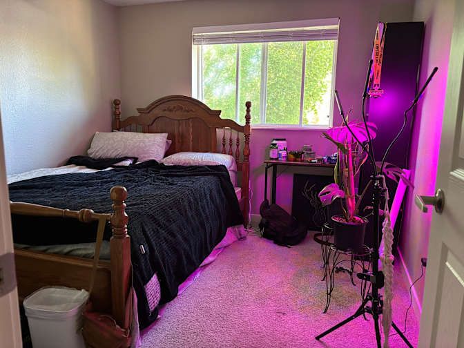 Danny's room