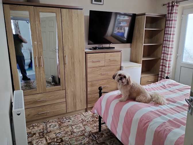 David's room