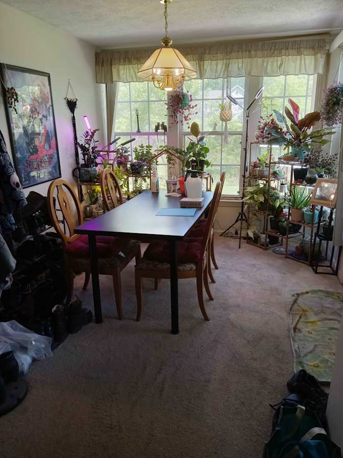 James's room