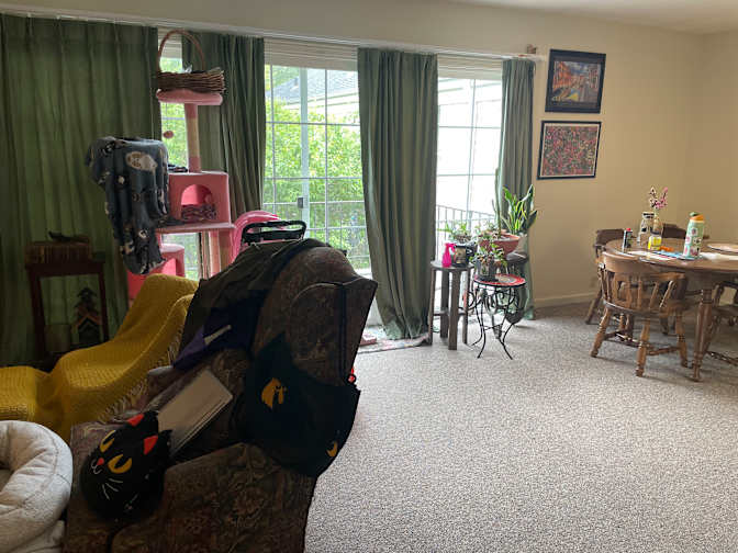 Adelyn's room