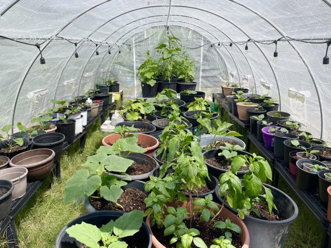 Caitlin Lepla's room