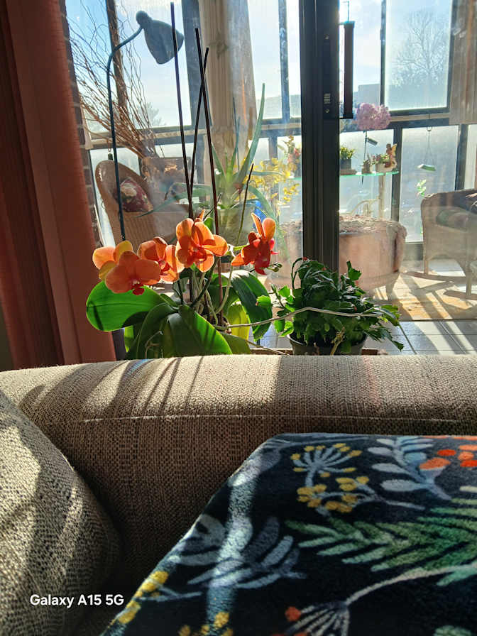 Shelley Renn's room