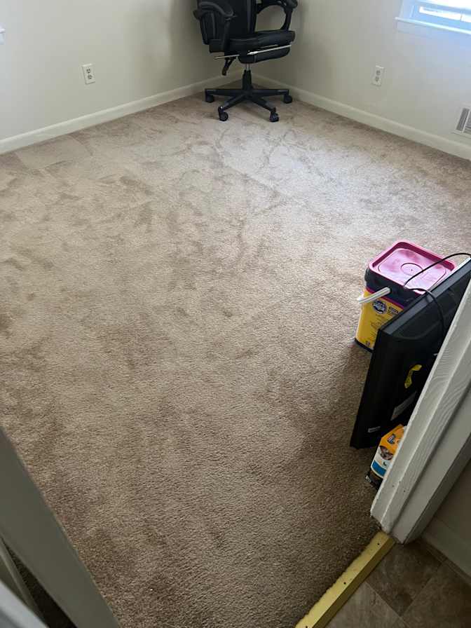 Cameron's room