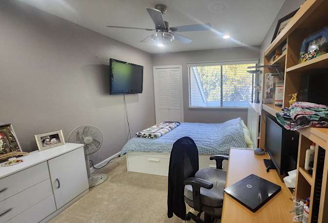 Millie's room