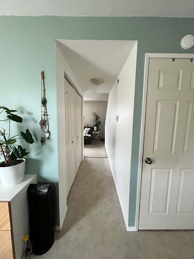 Luisa Williams's room