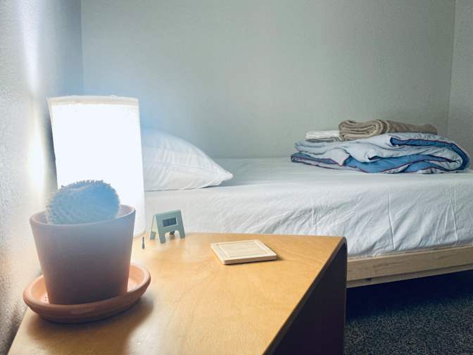 Saleck's room